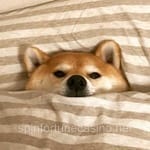 Avatar de Ángel Valdés